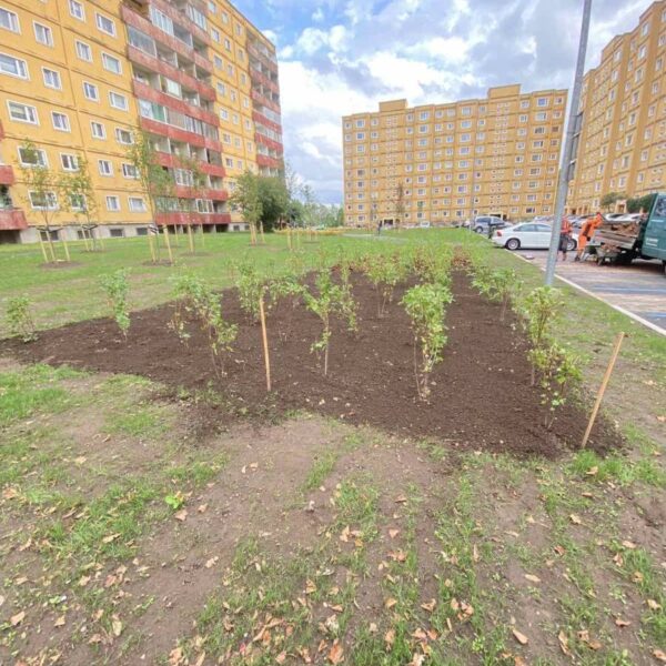 Haljastustood R-Grounds OÜ Haljastustood R-Grounds OÜ